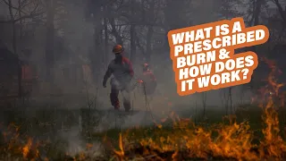 What Is A Prescribed Burn & How Does It Work?