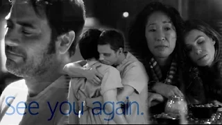 Grey's Anatomy ll See you Again.