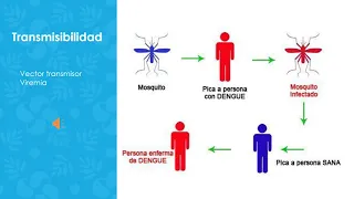 Fisiopatología Dengue