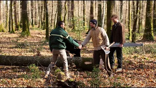 Coupe du dernier arbre nécessaire à la restauration des charpentes