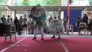 工教中区醒狮团  ITE College Central Lion Dance Troupe (男子组）