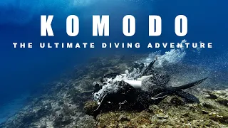 [4K] KOMODO ISLAND DIVING-The Ultimate diving adventure 코모도다이빙#bluemarlindive #labuanbajo #indonesia