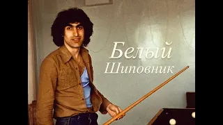 Александр Садо - Белый Шиповник из рок-оперы Юнона и Авось (LIVE тв6)
