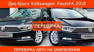 Два брата Volkswagen PassatA перевірили для підписника
