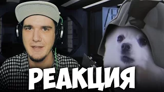 Imperial Borks (Star Wars) | РЕАКЦИЯ