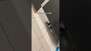 bro fighting demons in the toilet 😭