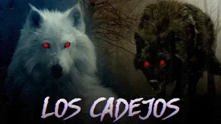 EL CADEJO - Historias de terror reales Leyendas, miedo y paranormal #ElPadrino
