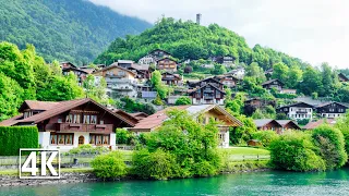 Switzerland 🇨🇭 Unspoiled nature on turquoise waters, boat trip from Interlaken to Iseltwald