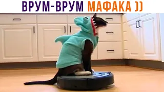 ЕДЕМ НА КУХОНЬКУ ))) Приколы с котами | Мемозг 1090