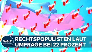 UMFRAGE: AFD AUF HÖHENFLUG - Rechtspopulisten nur noch vier Prozentpunkte hinter der Union