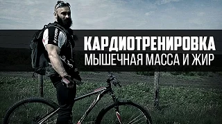 Кардиотренировка, сжигание жира и мышечная масса. Велосипед - выбор Бородача.