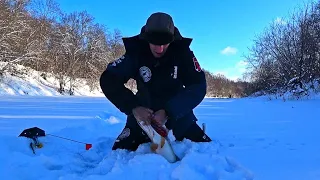 ЧУДОВИЩЕ НЕ ЛЕЗЕТ В ЛУНКУ! ВЫ ТОЛЬКО ПОСМОТРИТЕ НА ЭТО СОПРОТИВЛЕНИЕ! Рыбалка на жерлицы 2024.