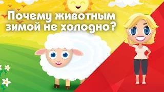 Шерсть животных. Почему животные не мерзнут? - Развивающие мультфильмы Познавака (21 серия, 1 сезон)