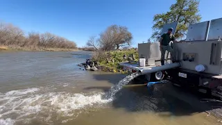 Reintroductions: A Lifeline for Salmon in California’s Central Valley