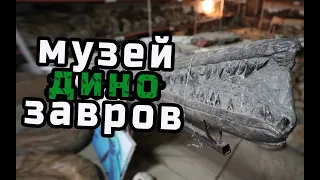 Самый большой музей палеонтологии в России.