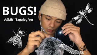 ASMR︱Bug Searching! (Tagalog Version) ~ most requested by my subscribers 🤍