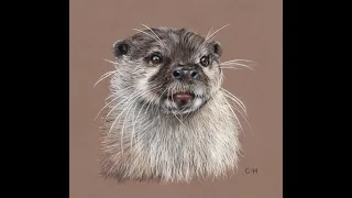 Oliver the Otter - Pastels & Pastel Pencil Tutorial - Part 1