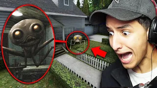 If You See THE VISITOR Outside Your House, RUN AWAY FAST!!