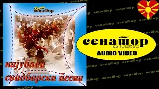 Goce Arnaudov - Sviri majstore - Senator Music Bitola