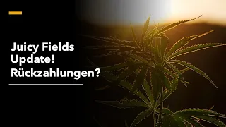 Neues zu Juicy Fields und den Rückzahlungen.