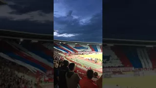 Crvena Zvezda Delije Sever Choreo | Red Star Belgrad hooligans