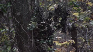 Filmed Bigfoot Only A Few Feet Away  11-7-18     "incredible"