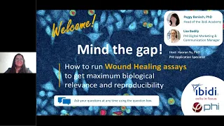 Webinar | Mind the Gap! | HoloMonitor® Wound Healing Assay