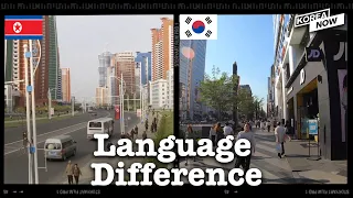 North and South Korean Language Difference in Vocabulary & Efforts to Minimize Them Pt. 2