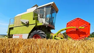 CLAAS Dominator 68 S Mähdrescher läuft noch wie eine 1️⃣ beim Gerste dreschen 2023 !