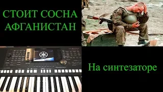 "Стоит сосна" (Афганистан)