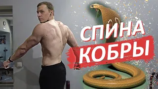 ГРАЦИЯ КОБРЫ! СПИНА: 3 ГЛАВНЫХ упражнения для накачки спины!  Как накачать спину?