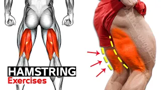 11 Easy Exercises Hamstring Workout | Leg Day