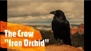The Crow "Iron Orchid" (Long Version Remix)