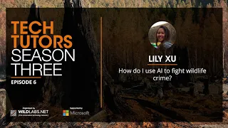 Lily Xu: How do I use AI to fight wildlife crime?