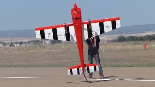 Martin Pickering RC Edge Extreme 3D Acrobatic Show 1