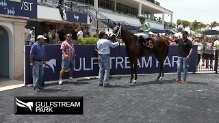 Gulfstream Park Replay Show | April 30, 2023