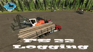 fs 22 Logging