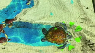 Turtle Mode - Magicdynamics Interactive AR Sandbox
