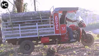 Motocarguero Zongshen 300cc💯Prueba de desempeño-CARGO TRICYCLE