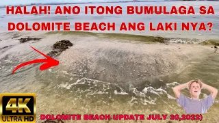 ANO ITONG BUMULAGA SA DOLOMITE BEACH ANG LAKI NA NYA!