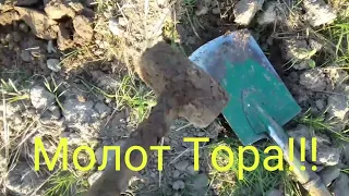 Коп монет на поле.Они все прут и прут!