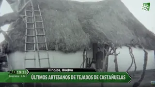 Tejados de castañuelas, Hinojos, Huelva