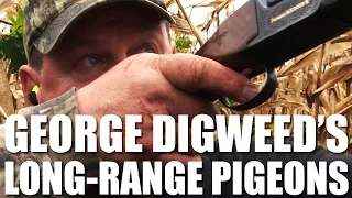 George Digweed shoots Long-Range Pigeons
