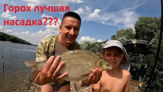 Ловля ЛЕЩА на ГОРОХ!!! Рыбалка с ночёвкой на реке!!! Донки на ОКЕ!!! #fishing #рыбалка