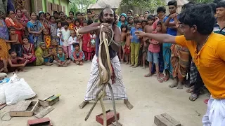 Amazing Snake Playing | Poisonous Snake Cobra & Rat Snake Played By Snake Charmers
