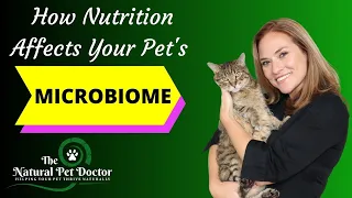 How Nutrition Affects Your Pet's Microbiome with Dr. Katie Woodley - The Natural Pet Doctor