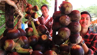 How To Cut Open Palmyra Palm Fruit / Easy And Yummy Palm Seeds Dessert Recipe / Cooking By Sreypov.