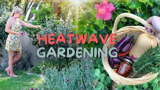How to keep your garden ALIVE in a HEATWAVE ☀️ Summer Gardening Tips - Perth Australia