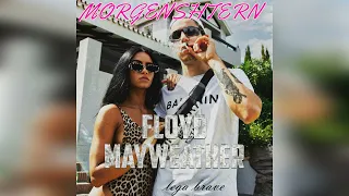 Żabson - Floyd Mayweather & MORGENSHTERN ( Remix by Lega Brave )