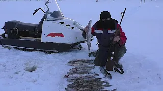 ЩУЧИЙ СПЕЦНАЗ! БЕШЕНЫЙ КЛЁВ РЫБЫ! РАЗВЕДКА БОЕМ, ПОИСК НОВЫХ МЕСТ+КРАСИВЕЙШАЯ СЕВЕРНАЯ ПРИРОДА!